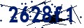 Codice di sicurezza
