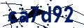 Codice di sicurezza