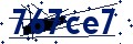 Codice di sicurezza