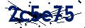 Codice di sicurezza