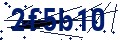 Codice di sicurezza