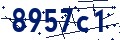 Codice di sicurezza