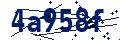 Codice di sicurezza