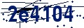 Codice di sicurezza
