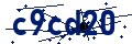 Codice di sicurezza