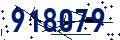 Codice di sicurezza