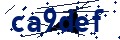 Codice di sicurezza