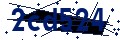 Codice di sicurezza
