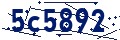 Codice di sicurezza