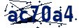 Codice di sicurezza