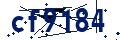 Codice di sicurezza