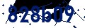 Codice di sicurezza