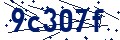 Codice di sicurezza