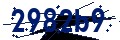 Codice di sicurezza