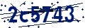 Codice di sicurezza