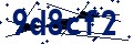 Codice di sicurezza