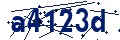 Codice di sicurezza