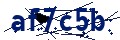 Codice di sicurezza