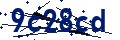 Codice di sicurezza