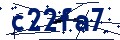 Codice di sicurezza