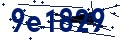 Codice di sicurezza