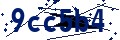 Codice di sicurezza