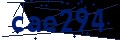 Codice di sicurezza