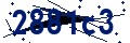 Codice di sicurezza