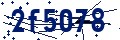 Codice di sicurezza