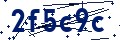 Codice di sicurezza