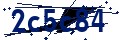 Codice di sicurezza