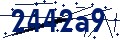 Codice di sicurezza