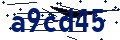 Codice di sicurezza