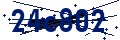 Codice di sicurezza