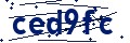 Codice di sicurezza