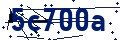 Codice di sicurezza