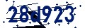 Codice di sicurezza