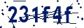 Codice di sicurezza
