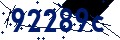 Codice di sicurezza