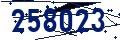 Codice di sicurezza