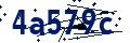 Codice di sicurezza