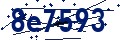 Codice di sicurezza