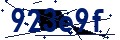 Codice di sicurezza