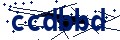 Codice di sicurezza