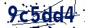 Codice di sicurezza
