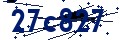 Codice di sicurezza