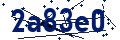 Codice di sicurezza