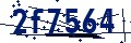 Codice di sicurezza