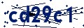 Codice di sicurezza