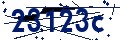 Codice di sicurezza